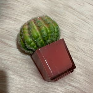 Pier 1 succulent cactus